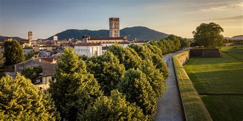 Gay guide of Lucca